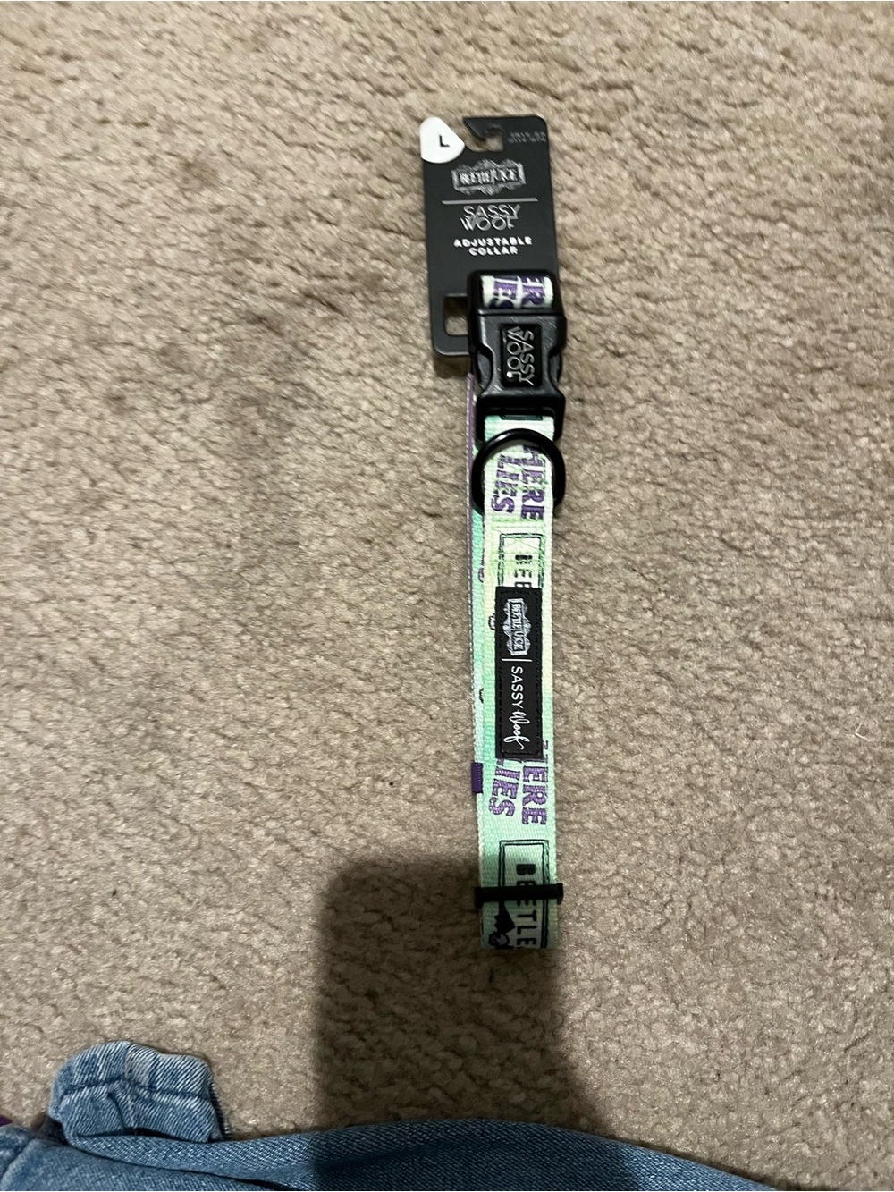Brand new Sassy Woof Beetlejuice adjustable dog collar in size Large - Picture 3 of 5